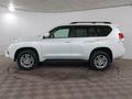 Toyota Land Cruiser Prado 2009 года за 14 250 000 тг. в Шымкент – фото 8