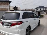 Honda Odyssey 2014 года за 9 200 000 тг. в Алматы – фото 5