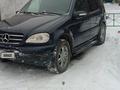 Mercedes-Benz ML 320 1998 годаүшін2 900 000 тг. в Петропавловск – фото 13