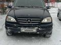 Mercedes-Benz ML 320 1998 годаүшін2 900 000 тг. в Петропавловск – фото 14