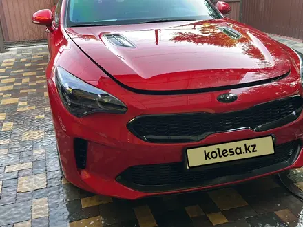 Kia Stinger 2019 года за 13 000 000 тг. в Алматы – фото 6