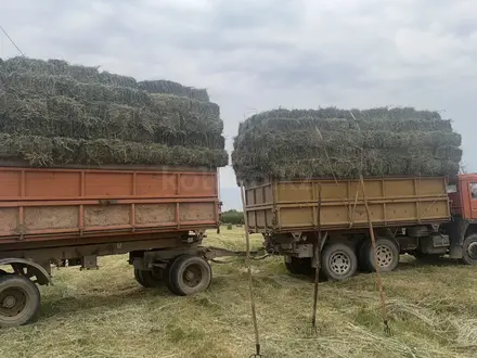 КамАЗ  65115 2007 года за 11 000 000 тг. в Алматы – фото 4