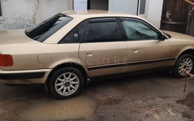 Audi 100 1992 года за 2 500 000 тг. в Аулиеколь