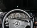 Mercedes-Benz S 320 1998 годаүшін5 300 000 тг. в Шымкент – фото 22