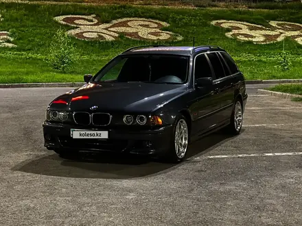 BMW 525 2002 года за 5 990 000 тг. в Тараз – фото 19