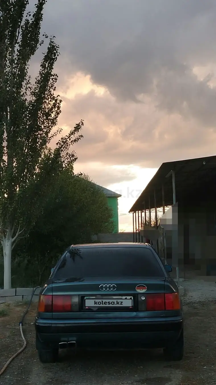 Audi 100, 1991