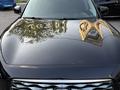 Infiniti FX35 2008 года за 7 500 000 тг. в Алматы – фото 2