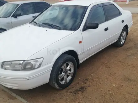 Toyota Camry 2001 года за 3 700 000 тг. в Жанаозен – фото 5