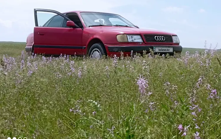 Audi 100 1994 года за 1 700 000 тг. в Алматы