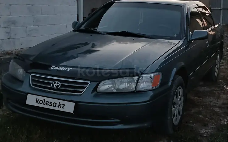 Toyota Camry 2001 года за 3 300 000 тг. в Усть-Каменогорск