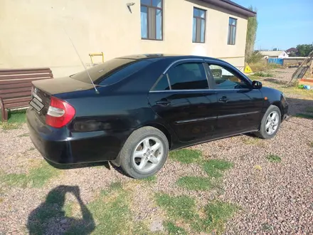 Toyota Camry 2003 года за 5 300 000 тг. в Мерке – фото 5