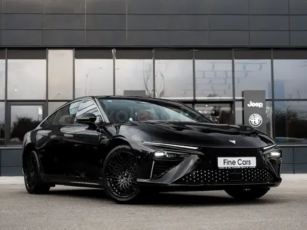 Hozon Neta S, 2024