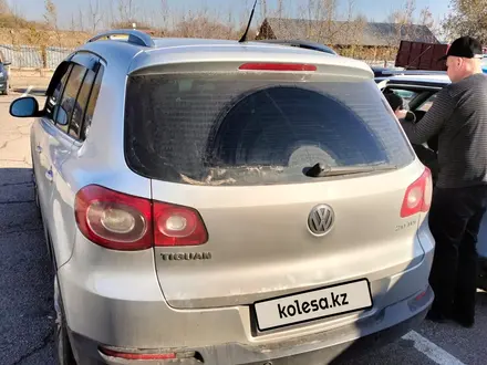 Volkswagen Tiguan 2009 года за 6 525 000 тг. в Алматы – фото 2
