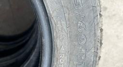 205.60.16 нордманд 7үшін110 000 тг. в Усть-Каменогорск – фото 5