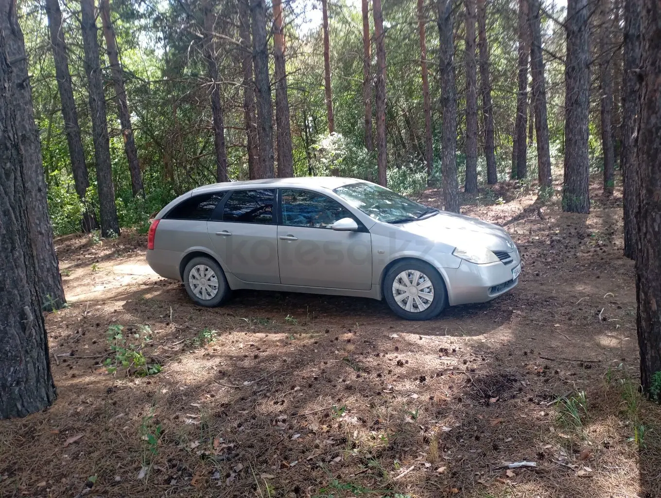 Nissan Primera, 2003