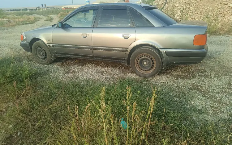 Audi 100 1991 года за 1 400 000 тг. в Талдыкорган