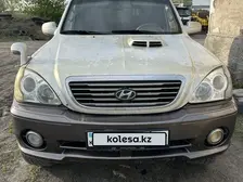 Hyundai Terracan, 2001