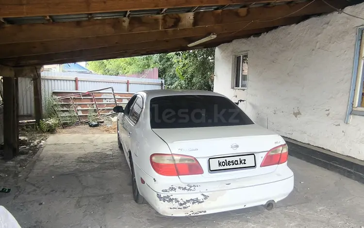 Nissan Maxima 2001 года за 1 800 000 тг. в Алматы