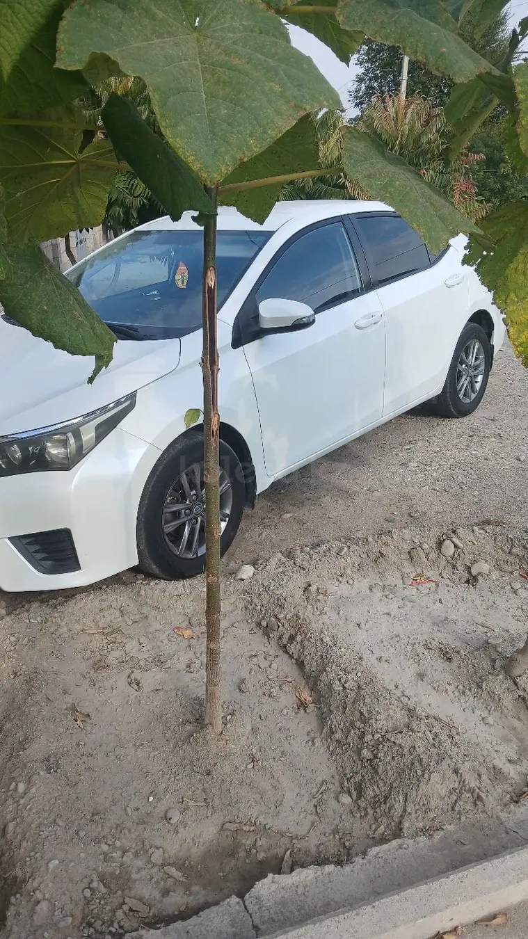 Toyota Corolla, 2014