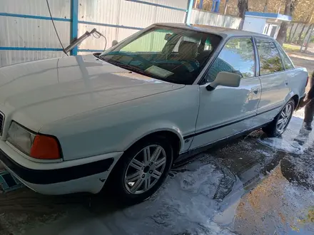 Audi 80 1994 года за 1 300 000 тг. в Алматы