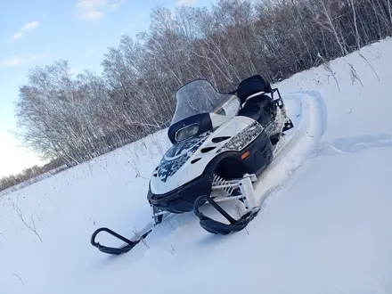 Arctic cat  Panther 2006 года за 1 750 000 тг. в Сергеевка – фото 3