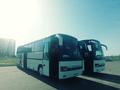 Пассажирские перевозки, Автобус Перевозка пассажиров в Алматы – фото 2