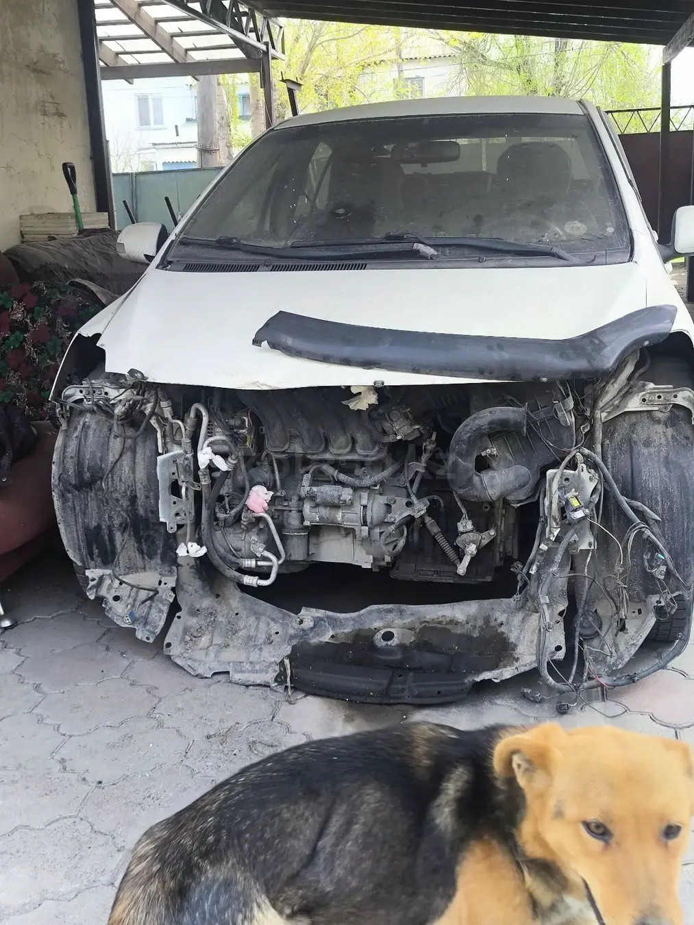 Toyota Yaris, 2008