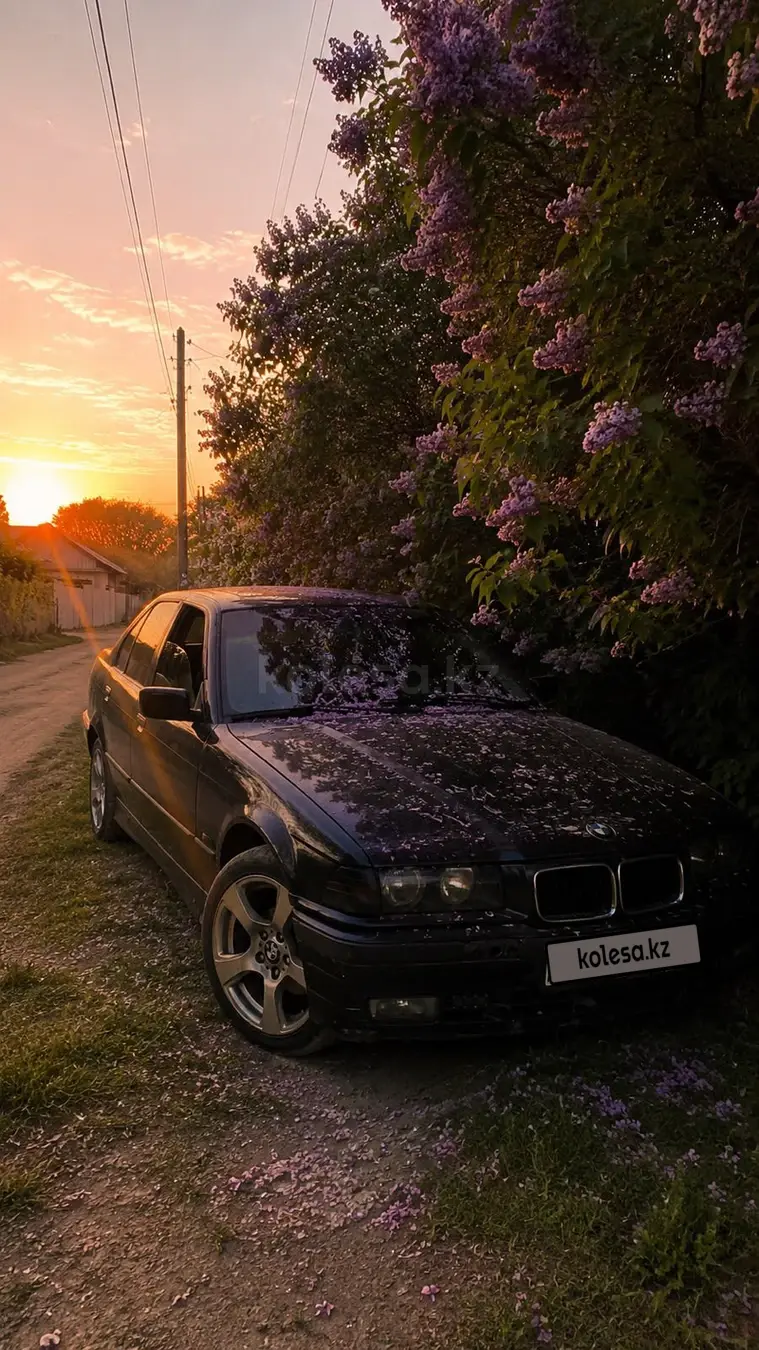 BMW 3 Series, 1991