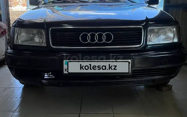 Audi 100 1991 года за 1 600 000 тг. в Федоровка (Теректинский р-н)