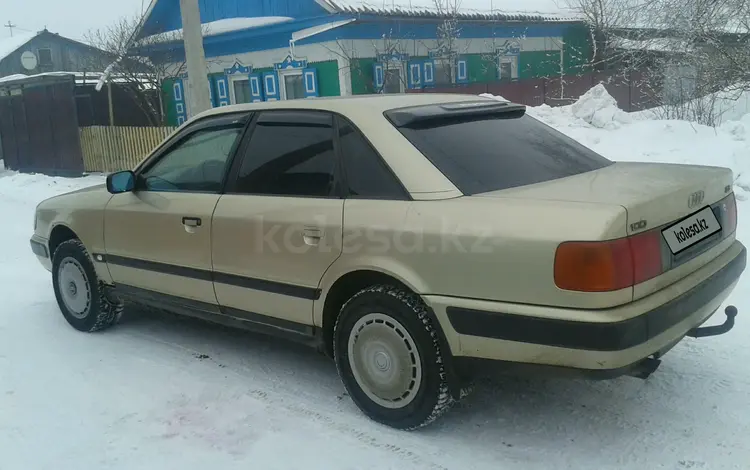 Audi 100 1992 года за 3 000 000 тг. в Петропавловск