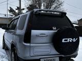 Honda CR-V 2001 года за 5 700 000 тг. в Караганда – фото 4