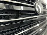 Сетка в решетку радиатора и бампер — установка в Алматы