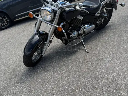 Yamaha  XVS650 2006 года за 2 200 000 тг. в Алматы – фото 3
