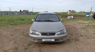 Toyota Camry 2001 года за 3 500 000 тг. в Усть-Каменогорск