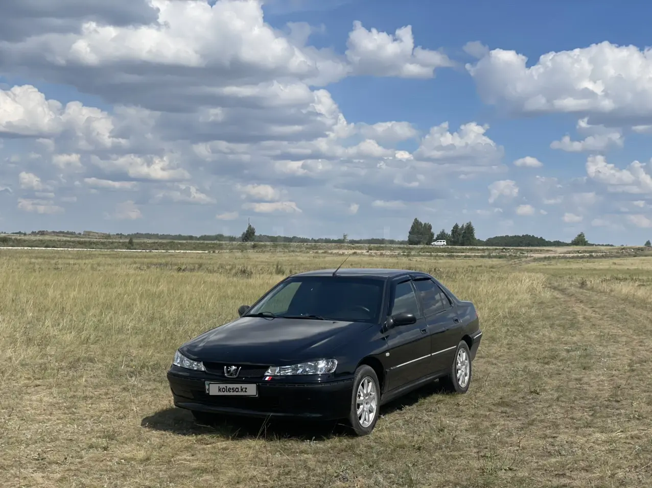 Peugeot 406, 2000