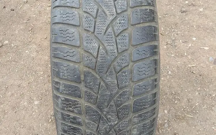 ОДНА шина 205/55 R16 — "Dunlop SP Winter Sport 3D" (Германия), вс за 10 000 тг. в Астана