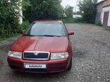 Skoda Octavia 2003 годаүшін2 900 000 тг. в Алтай – фото 2