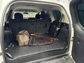 Toyota Land Cruiser Prado 2014 года за 17 000 000 тг. в Алматы – фото 7