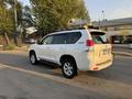 Toyota Land Cruiser Prado 2011 годаfor14 500 000 тг. в Алматы – фото 3