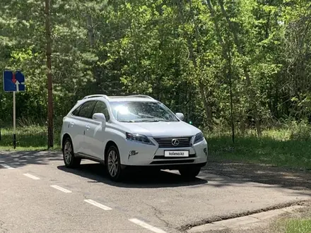 Lexus RX 350 2012 года за 14 500 000 тг. в Талдыкорган – фото 16