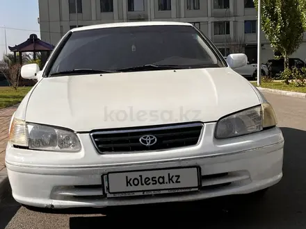 Toyota Camry 1998 года за 2 600 000 тг. в Алматы – фото 12