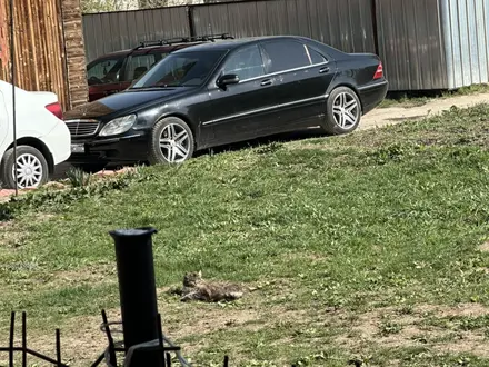 Mercedes-Benz S 500 2001 года за 3 400 000 тг. в Алматы – фото 2