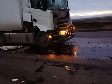 Scania  S440A4X2NA 2025 года за 11 000 000 тг. в Шымкент – фото 2