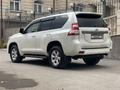 Toyota Land Cruiser Prado 2014 годаүшін21 000 000 тг. в Караганда – фото 16