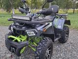 Tao Motor  250 X 2023 года за 1 100 000 тг. в Костанай – фото 2