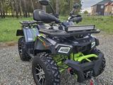 Tao Motor  250 X 2023 года за 1 100 000 тг. в Костанай – фото 3