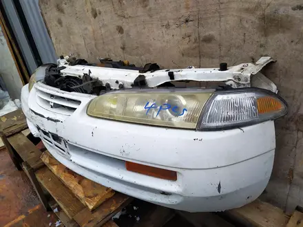 Ноускат за 250 000 тг. в Алматы – фото 7