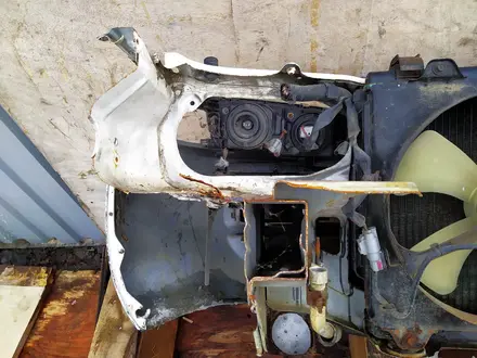 Ноускат за 250 000 тг. в Алматы – фото 15