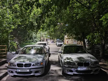 BMW 330 2001 года за 3 800 000 тг. в Алматы – фото 41