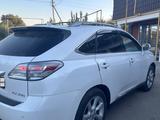 Lexus RX 350 2010 года за 12 500 000 тг. в Алматы – фото 2